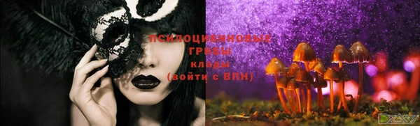 соль ск Нефтегорск