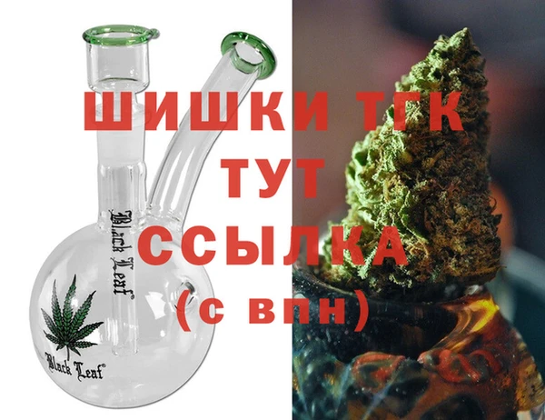 мдпв Надым