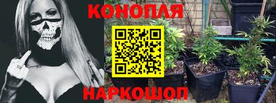 ГАЛЛЮЦИНОГЕННЫЕ ГРИБЫ Берёзовский