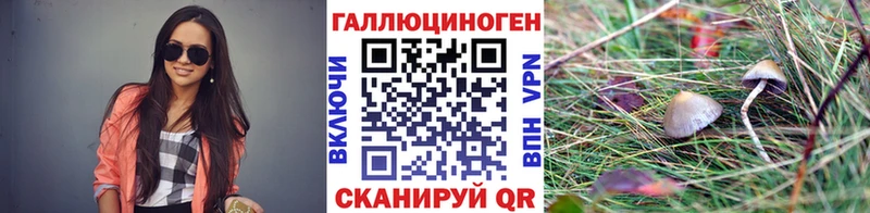 где купить   Краснознаменск  Галлюциногенные грибы прущие грибы 