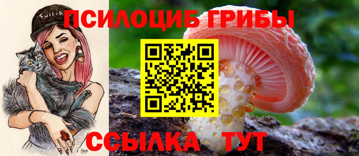 Галлюциногенные грибы Magic Shrooms Краснознаменск
