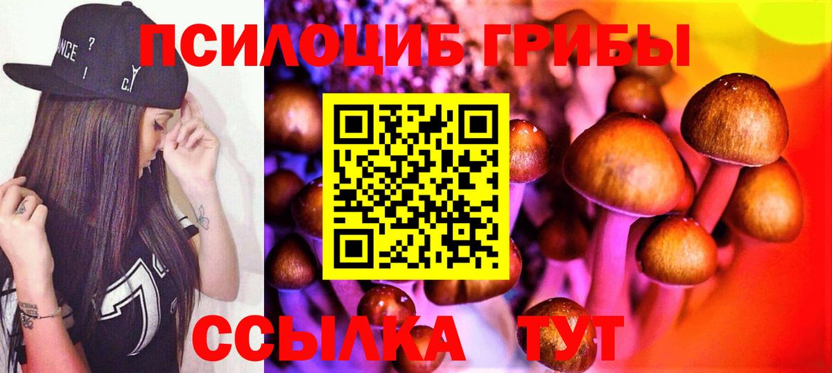 Галлюциногенные грибы ЛСД  Краснознаменск 