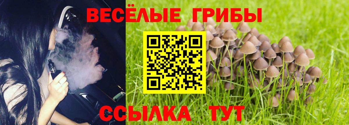 Галлюциногенные грибы Magic Shrooms Краснознаменск
