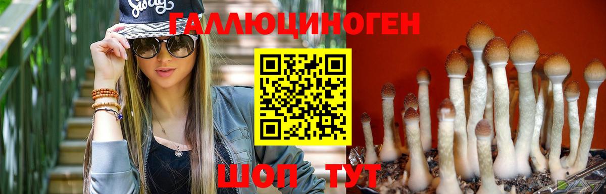 Краснознаменск  Псилоцибиновые грибы Cubensis  Вход с VPN  Галлюциногенные грибы MAGIC MUSHROOMS 
